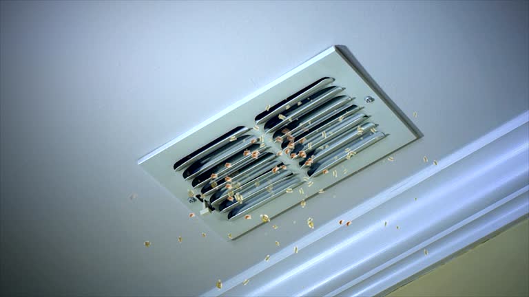 Professional Airduct Cleaning in Broadview Park, FL