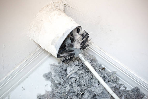 Best Emergency Air Duct Cleaning  in Broadview Park, FL