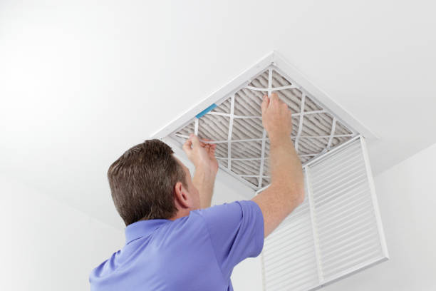 Best Air Duct Sanitizing Services  in Broadview Park, FL